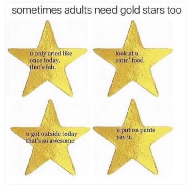 Gold Star Meme