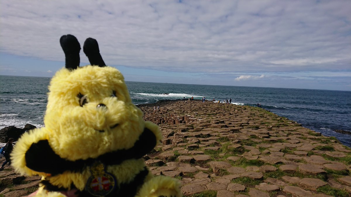 RuthieBee4's tweet photo. @LePasOpton isn't open this summer so we have come to Northern Ireland instead. https://t.co/LeLfPk62KW
