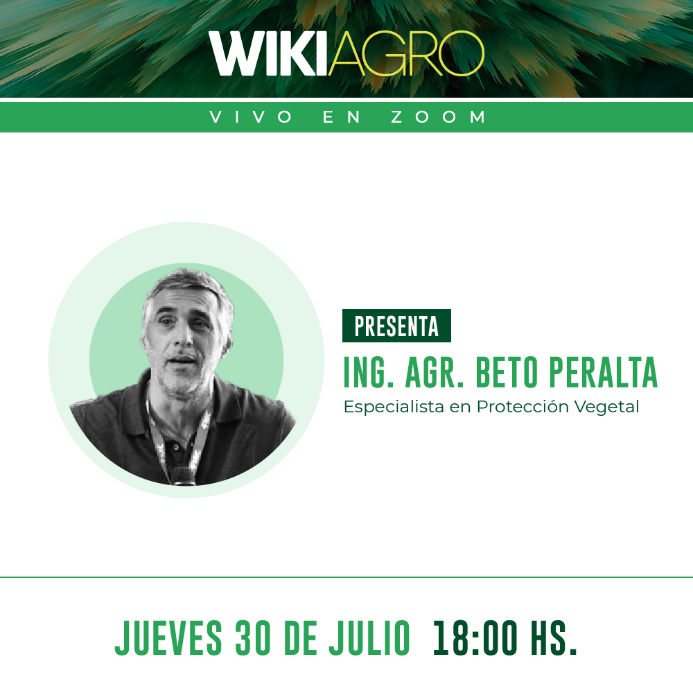 speedagro's tweet photo. ¡Nueva #WikiAgro! 👇

📢 Charla online: Monitoreo y manejo de plagas en cultivos extensivos.
👥 Diserta: Ing. Agr. Beto Peralta, Especialista en Protección Vegetal y miembro del grupo @halconmonitoreo.
📆 Jueves 30 de Julio.
⏰ 18.00 hs.

Registrate acá: https://t.co/obCEZ4aPTM https://t.co/fgvwYvbSMT