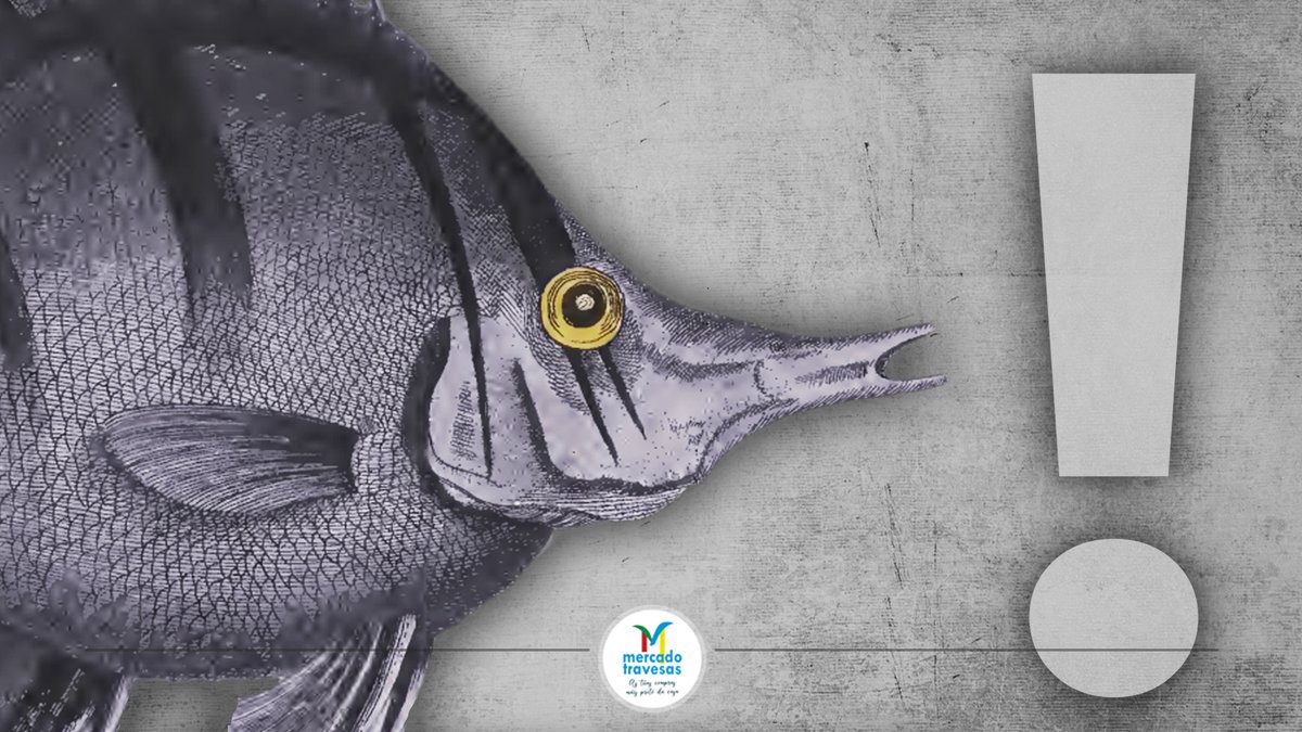 MercadoTravesas's tweet photo. 🐟🐟🐟 DEICA O LUNS 🐟🐟🐟
Como ben saberedes todos, mañán é o día de Galicia (festivo autonómico), polo que o #mercadotravesas permanecerá pechado, pero non nos despedimos sen desexarvos unha finde plagada de praias e soles. Feliz día! 🌞⛱ https://t.co/NNb7opASr2