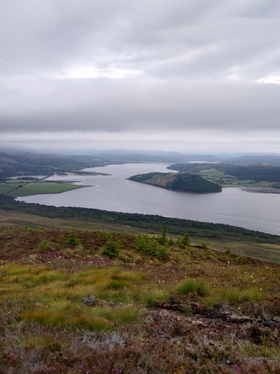 vaderbogger's tweet photo. Having a wander up #Struie part of the #HillyTrinity along with #Fyrish and #BenBhraggie looking west to #KyleofSutherland and #Canisp and North East to #Dornoch and #EasterRoss https://t.co/VXrXdHBC0S