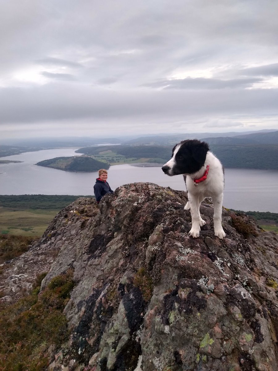 vaderbogger's tweet photo. Having a wander up #Struie part of the #HillyTrinity along with #Fyrish and #BenBhraggie looking west to #KyleofSutherland and #Canisp and North East to #Dornoch and #EasterRoss https://t.co/VXrXdHBC0S