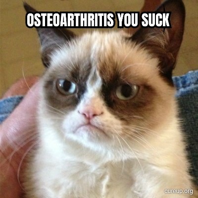 IPS_Tampa's tweet photo. Grumpy Cat, we could not agree with you more. Check out our previous posts for more info on viscosupplementation, exercises, and unloader braces, that may help your OA suck a little less. 
#IPS #integrativepracticesolutions #osteoarthritis
#physicaltherapy #exercise
#kneetherapy https://t.co/qXBisuFldb