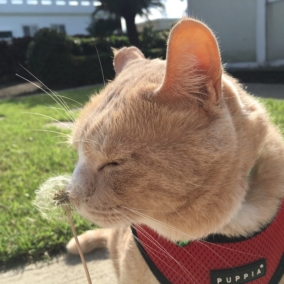 peacozy's tweet photo. https://t.co/FXj13PTCcI