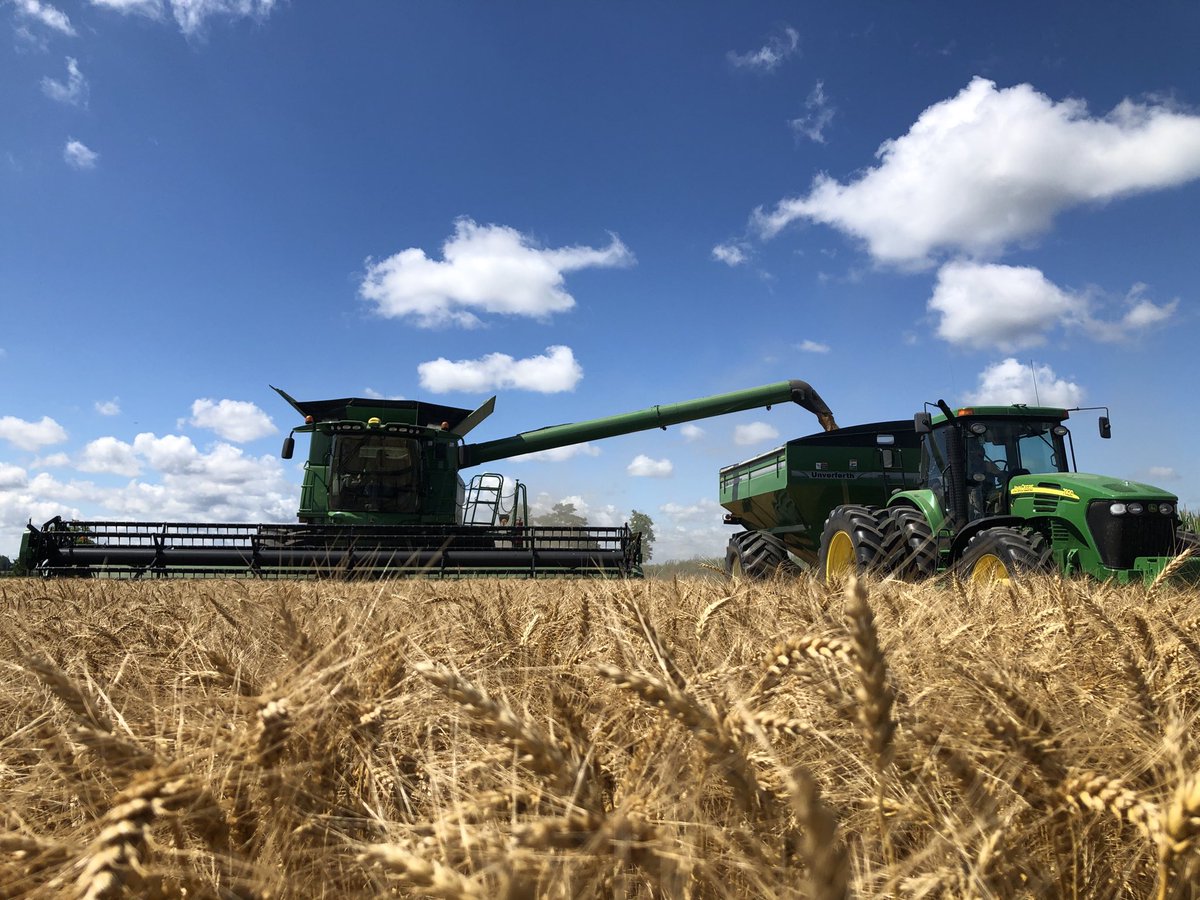 WebholmeFarms's tweet photo. Wheat Harvest 2020 🌾 https://t.co/L2rptPm6I1