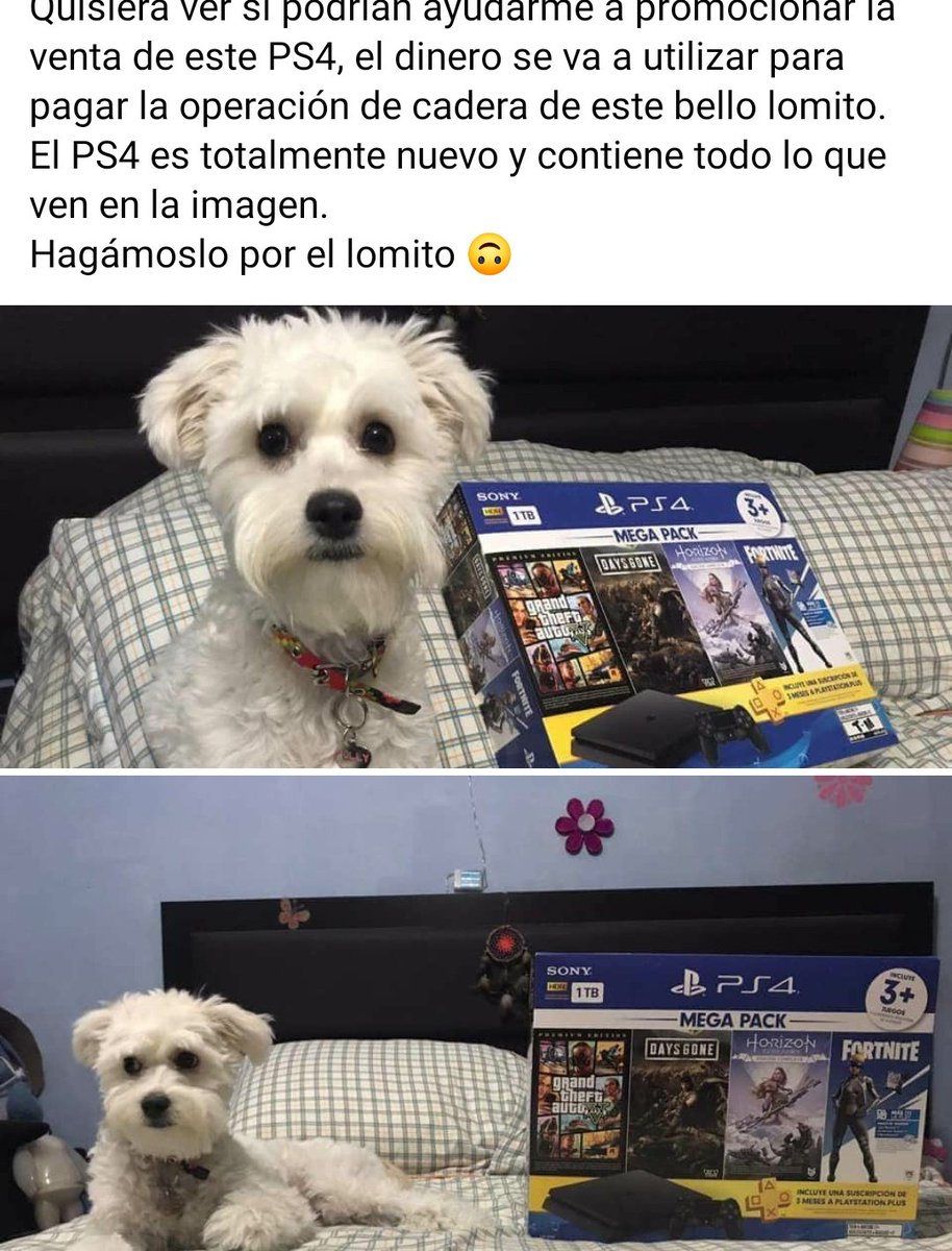 RealDanyMcFly's tweet photo. Amigos, me podrán ayudar a darle RT está info.PS4 de 1Tb incluye ps plus de 3 meses, days gone, horizon zero dawn, grand thef auto y un dlc
De fortnite, está completamente sellada. Muchas gracias! https://t.co/5UE2uUq9vS
