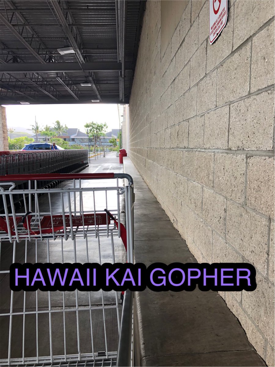 hawaiikaigopher's tweet photo. Your HAWAII KAI GOPHER experienced the calm before the storm at Costco...be safe this weekend💨☔️⛈ https://t.co/UMKQKgSTYw