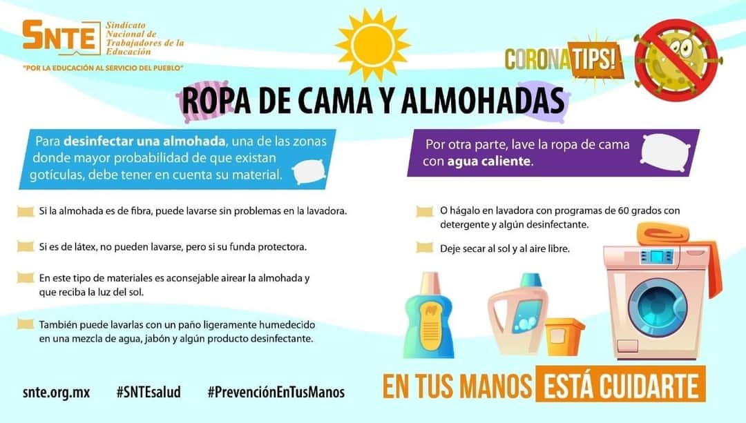 Fedessp Veracruz tweet media