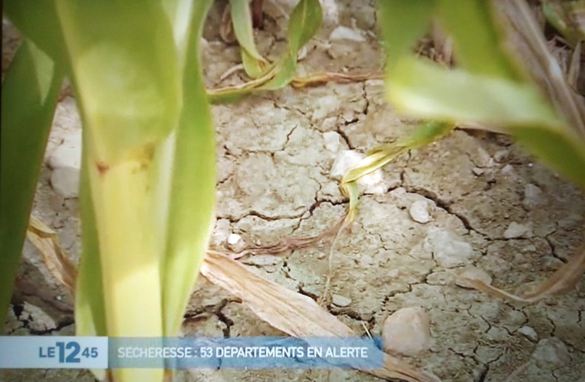 JeunesAgri57's tweet photo. [Sécheresse 2020]

Retrouvez le témoignage de Germain Bach, agriculteur et Président des Jeunes Agriculteurs de Moselle, sur le 12.45 de M6 aujourd'hui 24 juillet.
à la minute 4min56

"Cela fait 3 ans que l'on tire sur les stocks"

https://t.co/SvFix1b8Hl https://t.co/lBAfA9Bvwd