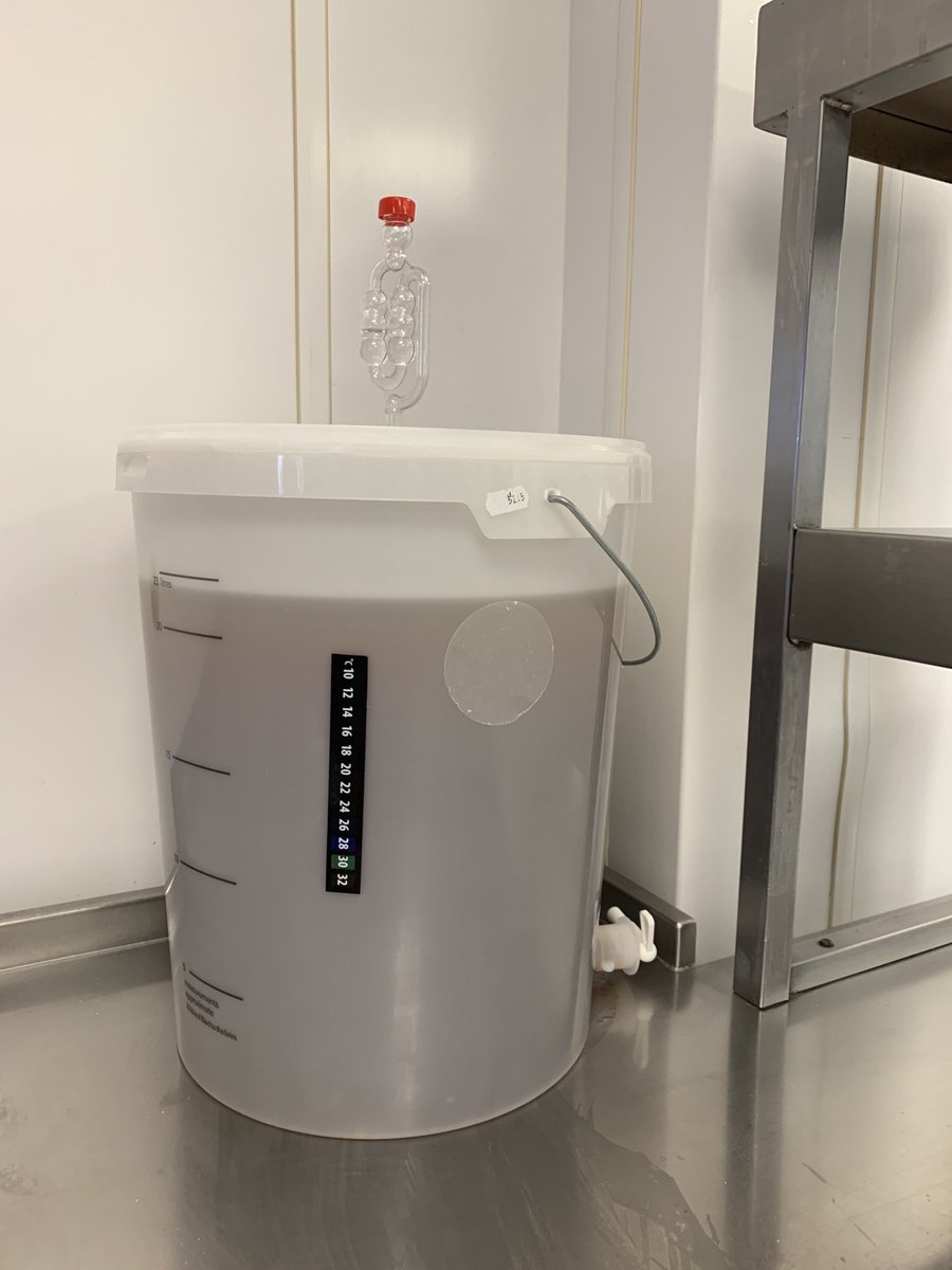 firstonemark's tweet photo. Made our first Brew on site today for the Homemade beer battered fish and chips @theforestdorridge #thelittlethings #makeitnice #forthechefs #justgetitdone https://t.co/eep6rxt9yk