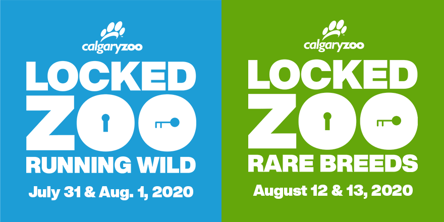 jetpackcreative's tweet photo. We've added two new dates for the first Locked Zoo game — plus a brand new game next month. Spend an evening (or two!) strolling through the zoo, solving an elaborate series of puzzles. Tickets for all four dates are available now at https://t.co/Pdk02Dhlj6 https://t.co/bZDh6TDaiM