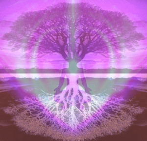 sueanimaltalker's tweet photo. Few slots remain for my #Reiki special - includes #crystalhealing and #channeledmessages! https://t.co/Ykyr3Rb4dG Time to #relax and #renew! #ReikiMaster #UsuiReiki #chakrabalancing #SpiritChannel https://t.co/VzGcLi1j6l