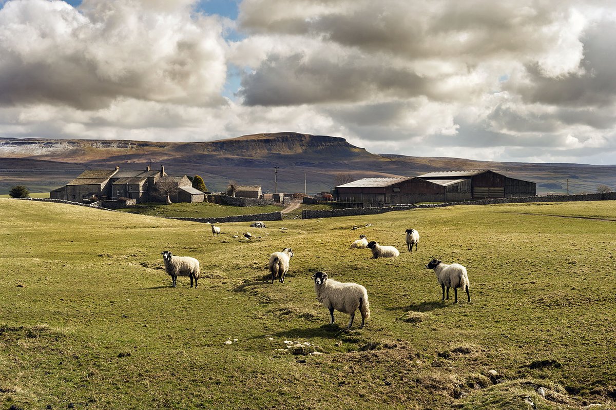 VNYorkshire's tweet photo. Selside is a small village in #Ribblesdale in North Yorkshire. It lies 2 miles N/W of #HortonInRibblesdale.

#Selside was mentioned (as Selesat) in the #DomesdayBook, when it was held by #RogerOfPoitou.

More info on N Yorks holidays: https://t.co/iHtdq2OQnV

#OffTheBeatenTrack https://t.co/W67N8eWk5R