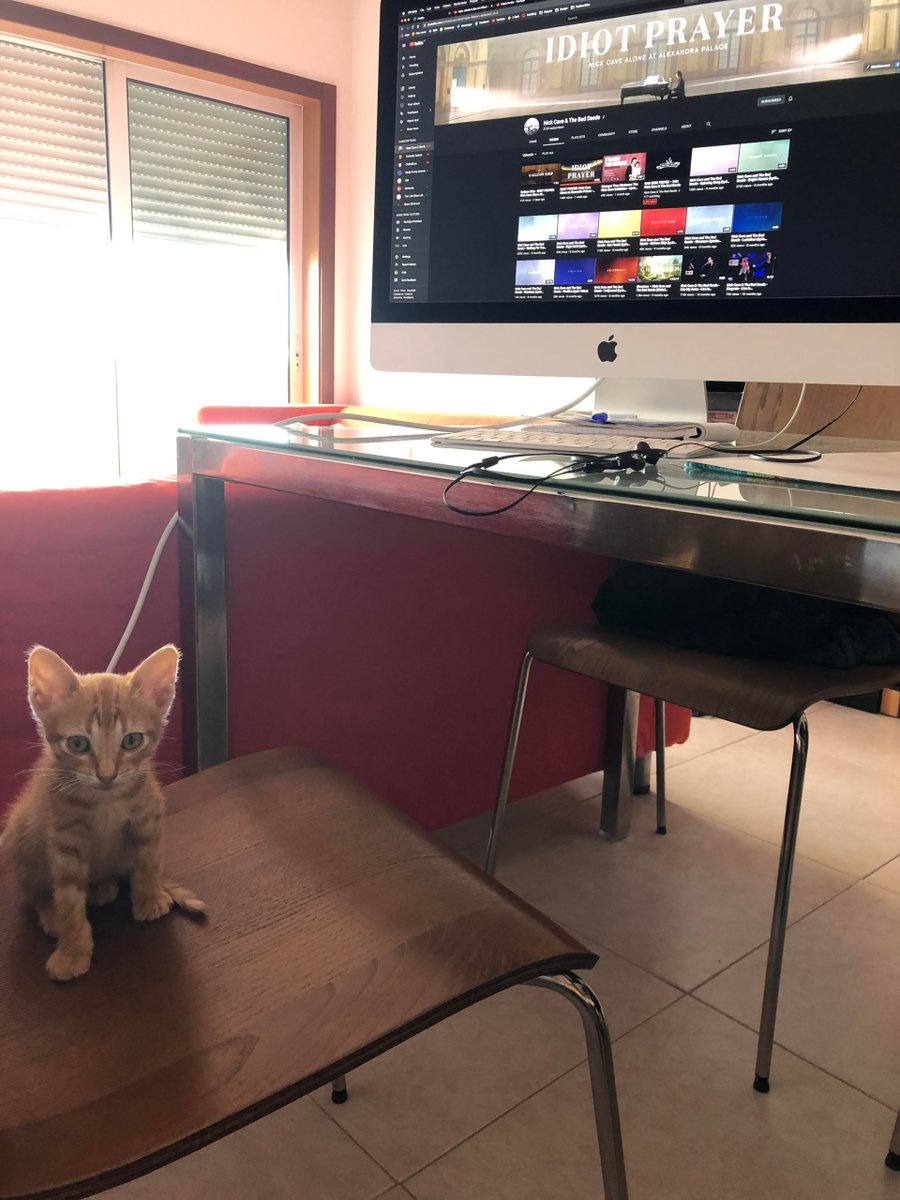 MeowMoeDotCom's tweet photo. #Kitty #Attempts to #Work from #Home and #Procrastinates instead
#Cats #Cat #Kittens #Kitten #Kitty #Pets #Pet #Meow #Moe #CuteCats #CuteCat #CuteKittens #CuteKitten #MeowMoe
https://t.co/CzvgjzSWxP https://t.co/FheOeFV4Ku