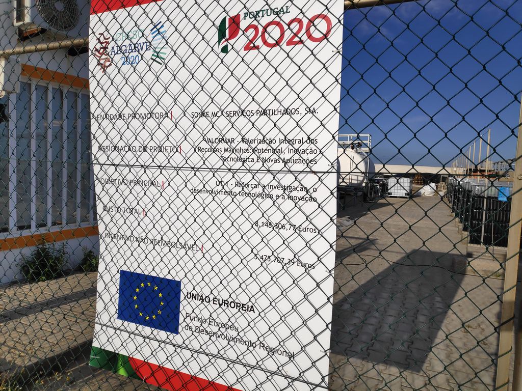 Phytobloom's tweet photo. Necton is also participating in the portuguese project #ValorMar, for the Valorisation of Marine resources. Read more here: https://t.co/cIKzQT9gY5 https://t.co/QcqaslL1o4