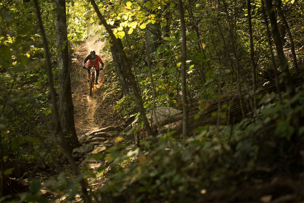 AndCoAdventure's tweet photo. Let the good times roll at Windrock Bike Park! 

#mountainbiking #downhill #extreme #biking #adventure #adventureanderson #mtnbiking #tnvacation #madeintn #easttnadventures https://t.co/GSsUO1MfHN
