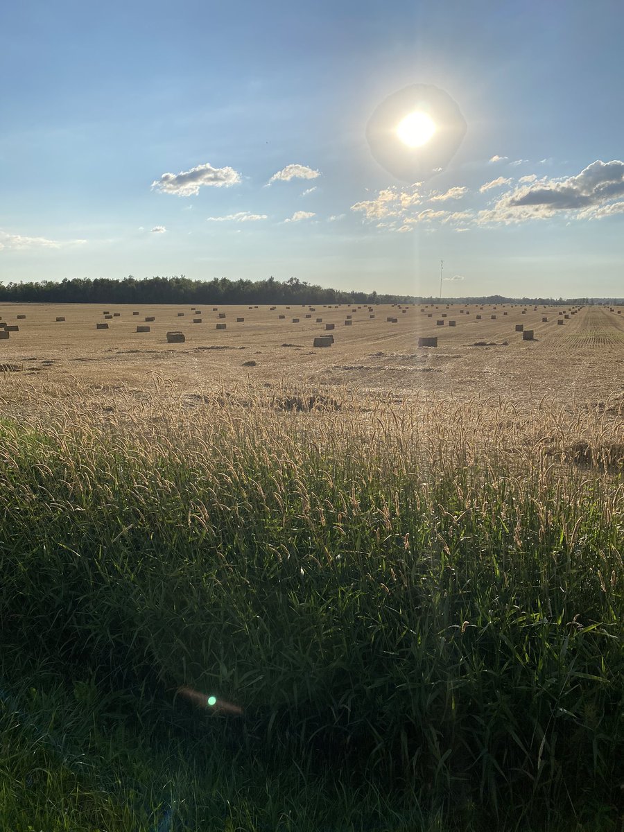 Friday Night Views #FridayFeeling #fieldofdreams #TGIF