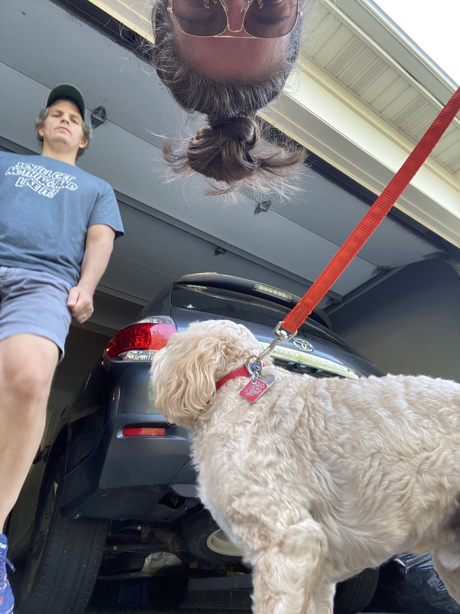 disneydognemo's tweet photo. family walks be like https://t.co/SdE8MtdKLU