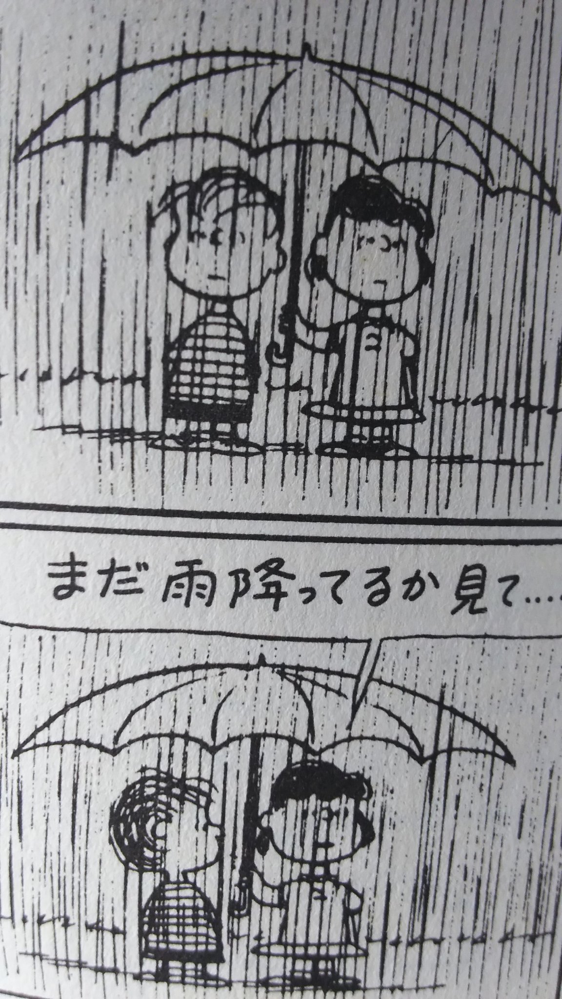 ラピスラズリ ルリ 鶴コミック第３２巻 空飛ぶスヌーピー 梅雨もうすぐあがりそうですが コミックの中でもずっと雨 いつやむの とルーシーとライナス スヌーピーが犬小屋に とりのこされ 犬小屋の中の絨毯が駄目になり ゴッホの絵もあるのに なが