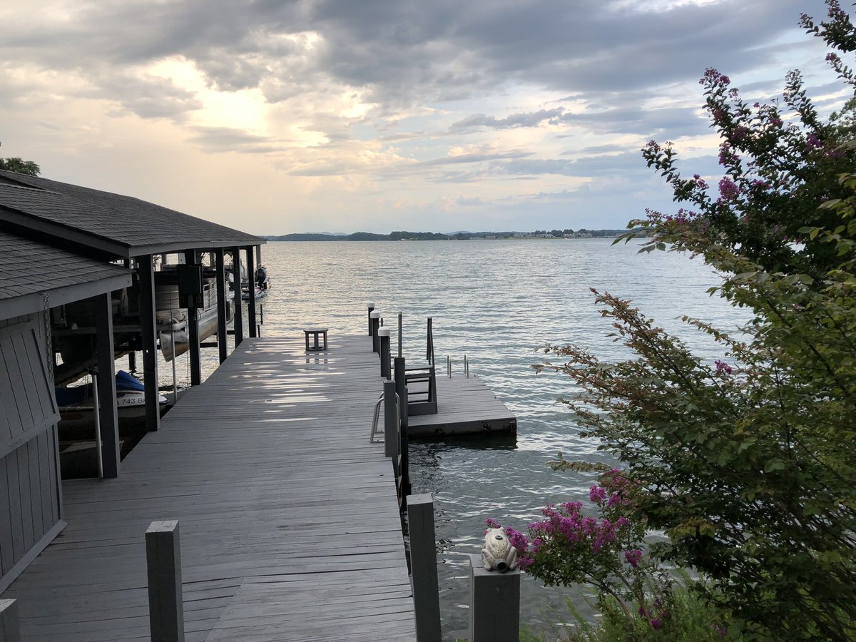 Jad El-Zein tweet media