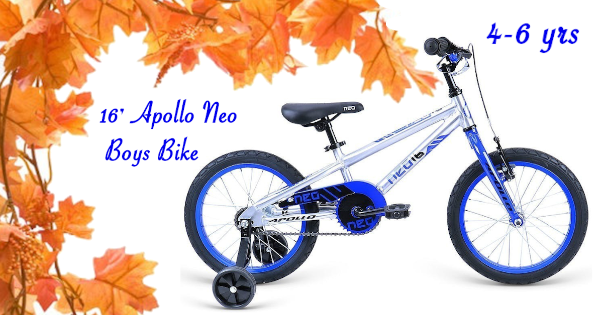 apollo neo 16 bike