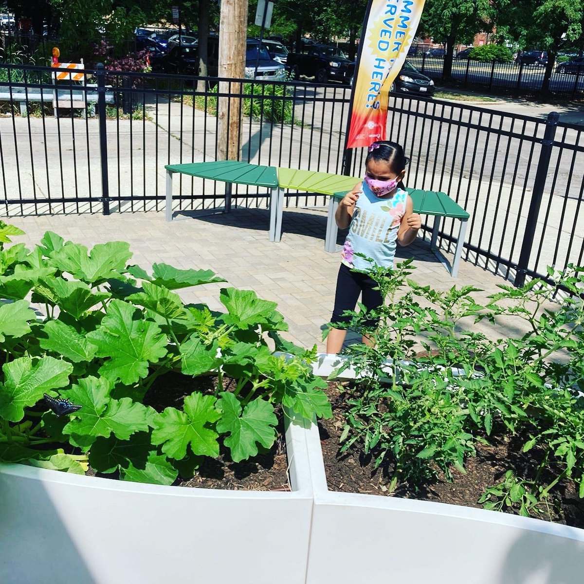 GreeleyElement1's tweet photo. We distributed all of our “Chicago Grows Food” to some of our families today.  We will work on involving more families throughout the following weeks! 🌱 https://t.co/Ebbofh2doR