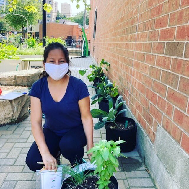 GreeleyElement1's tweet photo. We distributed all of our “Chicago Grows Food” to some of our families today.  We will work on involving more families throughout the following weeks! 🌱 https://t.co/Ebbofh2doR