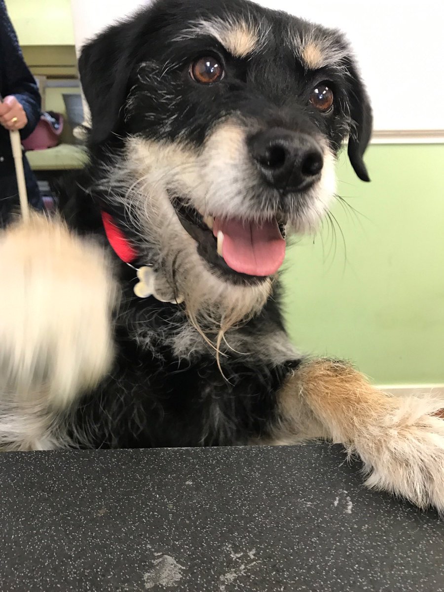 Ted. On his first day working in the shop. ‘Can I help you’.