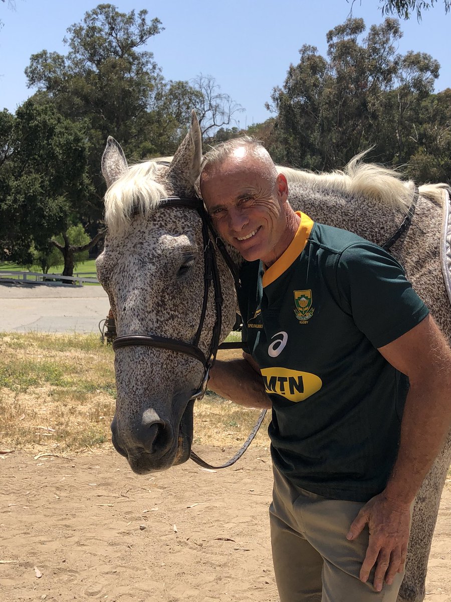 Noah <a href="/Springboks/">Springboks</a>