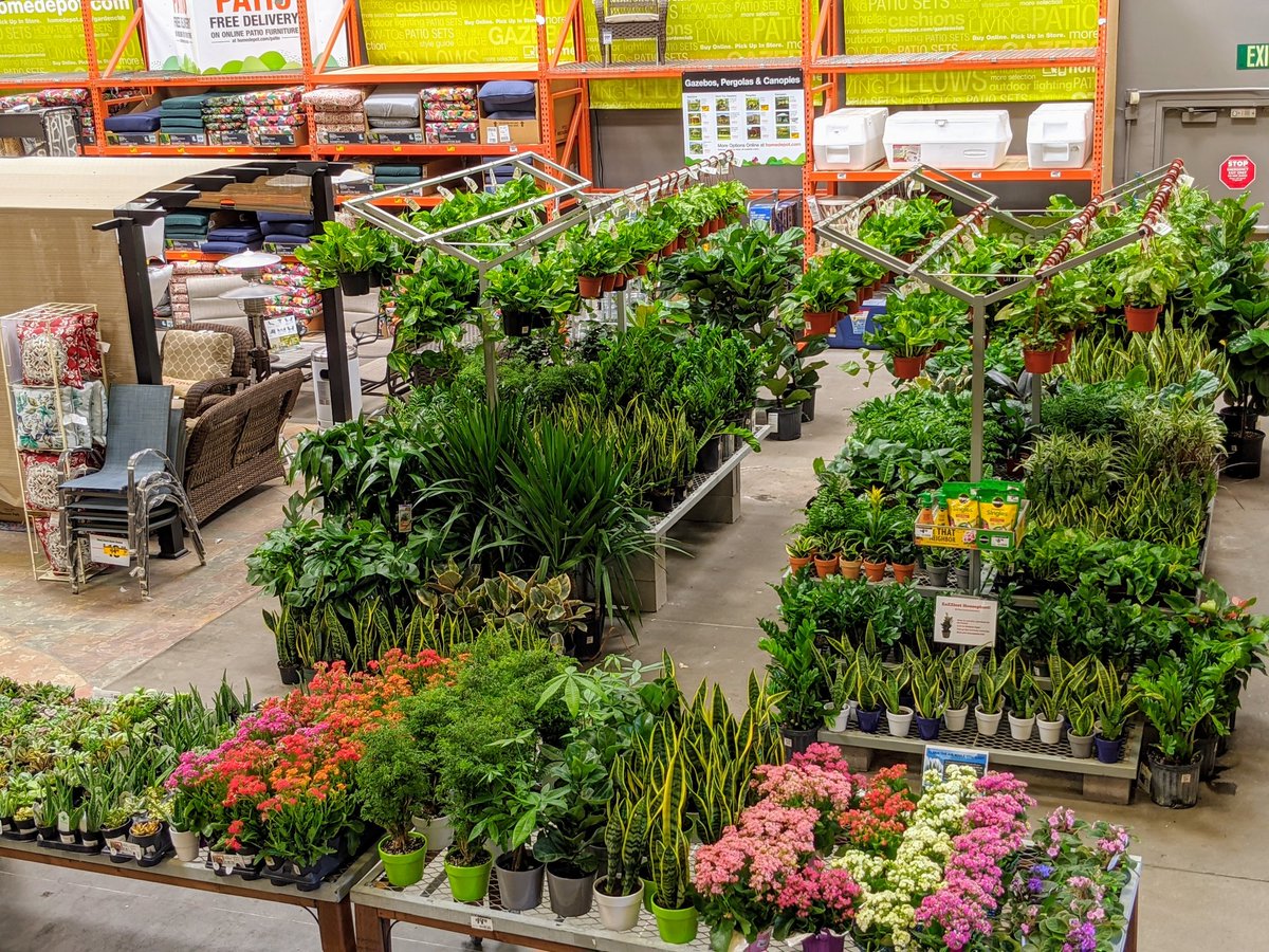 Thank you <a href="/minirex86/">Ray Zimmerman</a>  for executing our tropical expansion to maximize $$ per sq ft in our patio lay down 👍 #d66proud #straightoutta470 <a href="/zeeepee/">Zinnia Padilla</a> @Nickel470 <a href="/D66Celest/">Sheldon Celestine 🇹🇹🇺🇸</a>