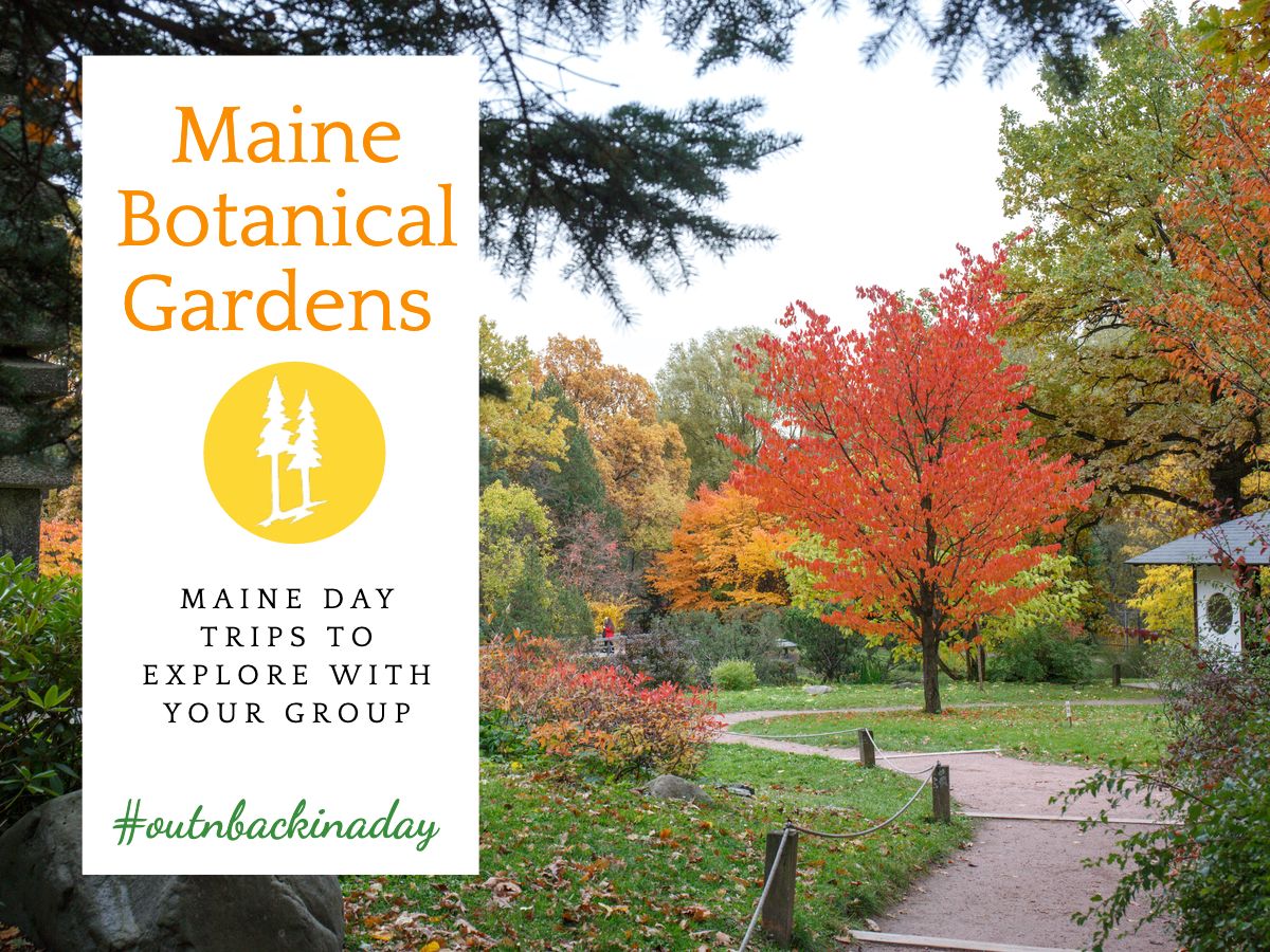 NECharter's tweet photo. #OutNBackInADay -- Another group favorite here in Maine is the Coastal Maine Botanical Gardens. Grab a picnic, your favorite group and we'll get you there. #GoNECT #LetsGoTogether #Mainething https://t.co/pkKeypfcDJ