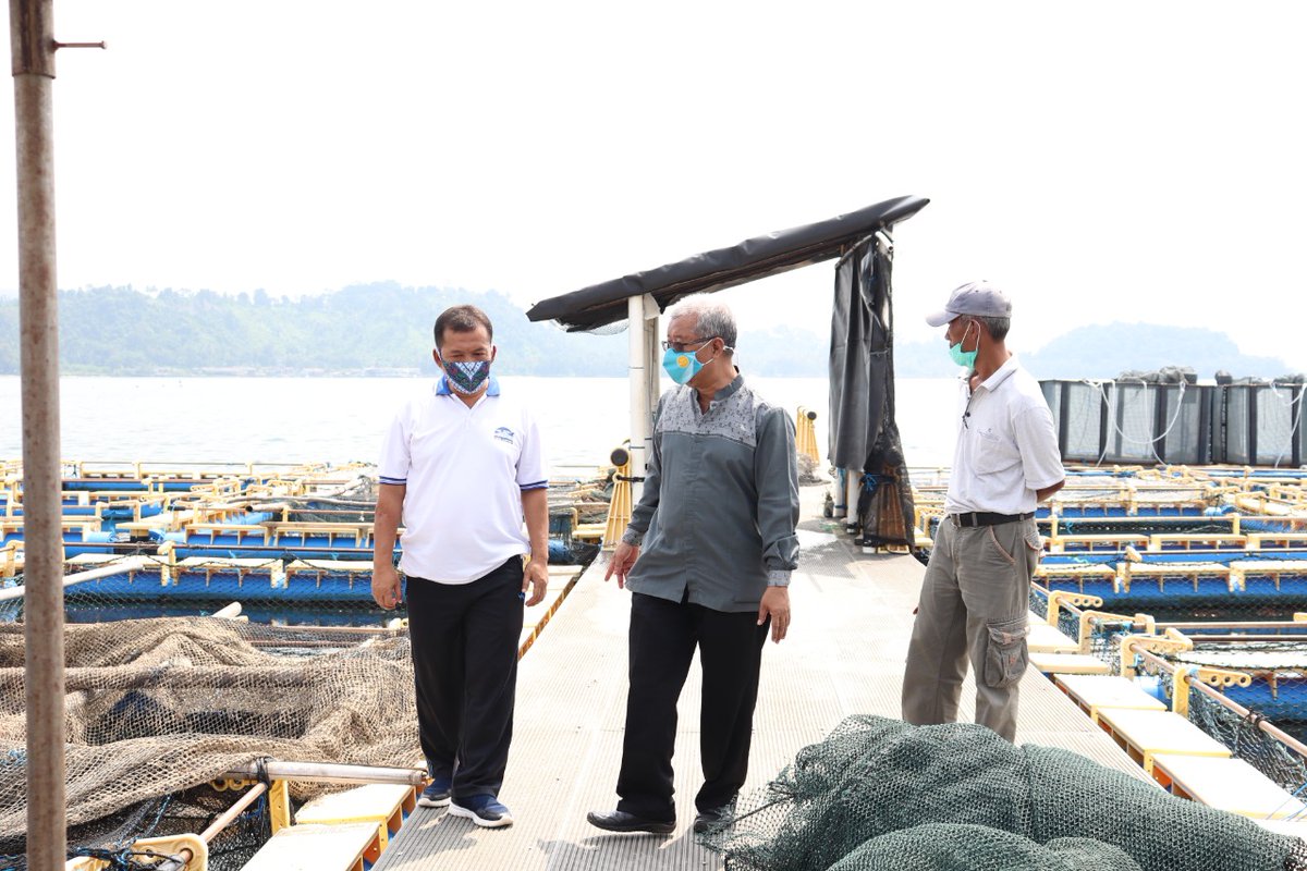 Peninjuan Budidaya Lobster di BBPBL Lampung...