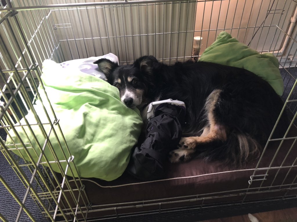 d7_lisa's tweet photo. #craterest #izzyofinstagram โค๏ธโค๏ธโค๏ธโค๏ธ https://t.co/i3teLUs1va