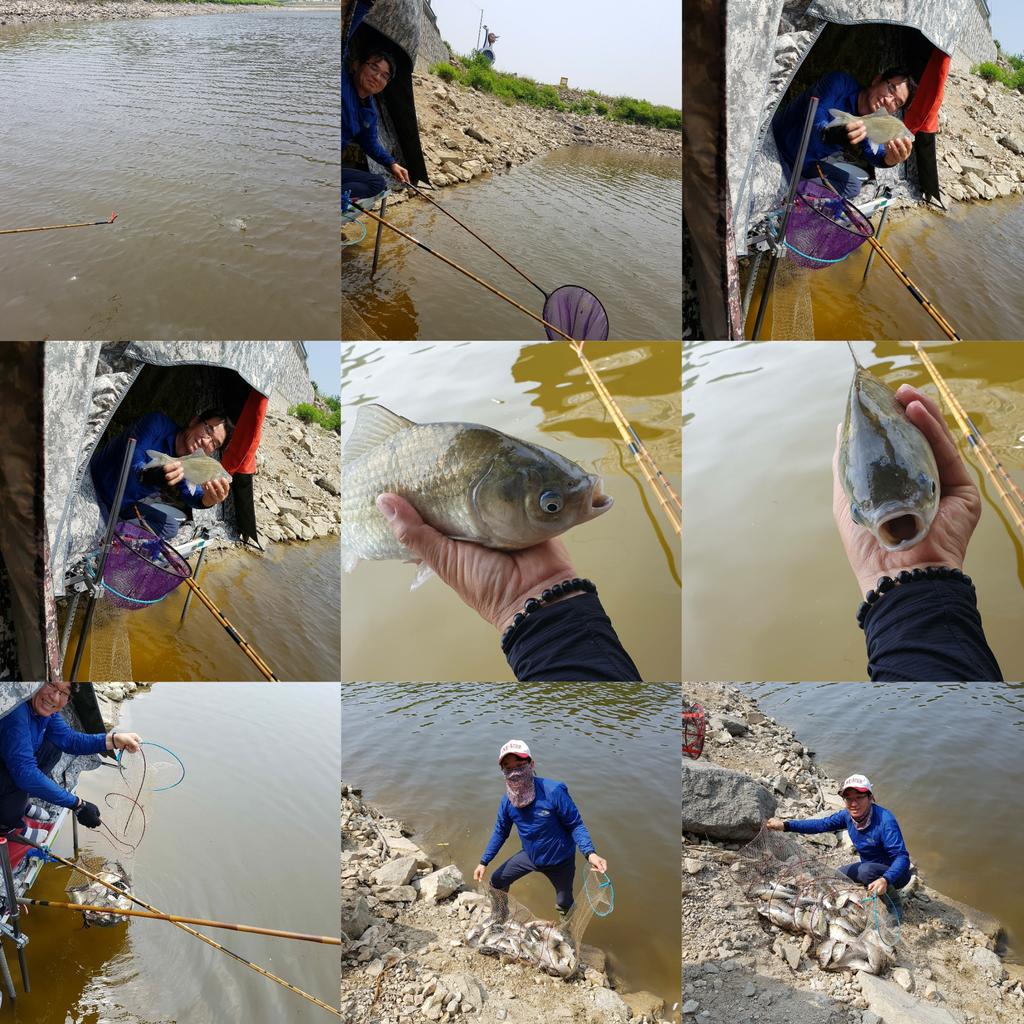 fish4163's tweet photo. InShot https://t.co/5KF1jQQ05n