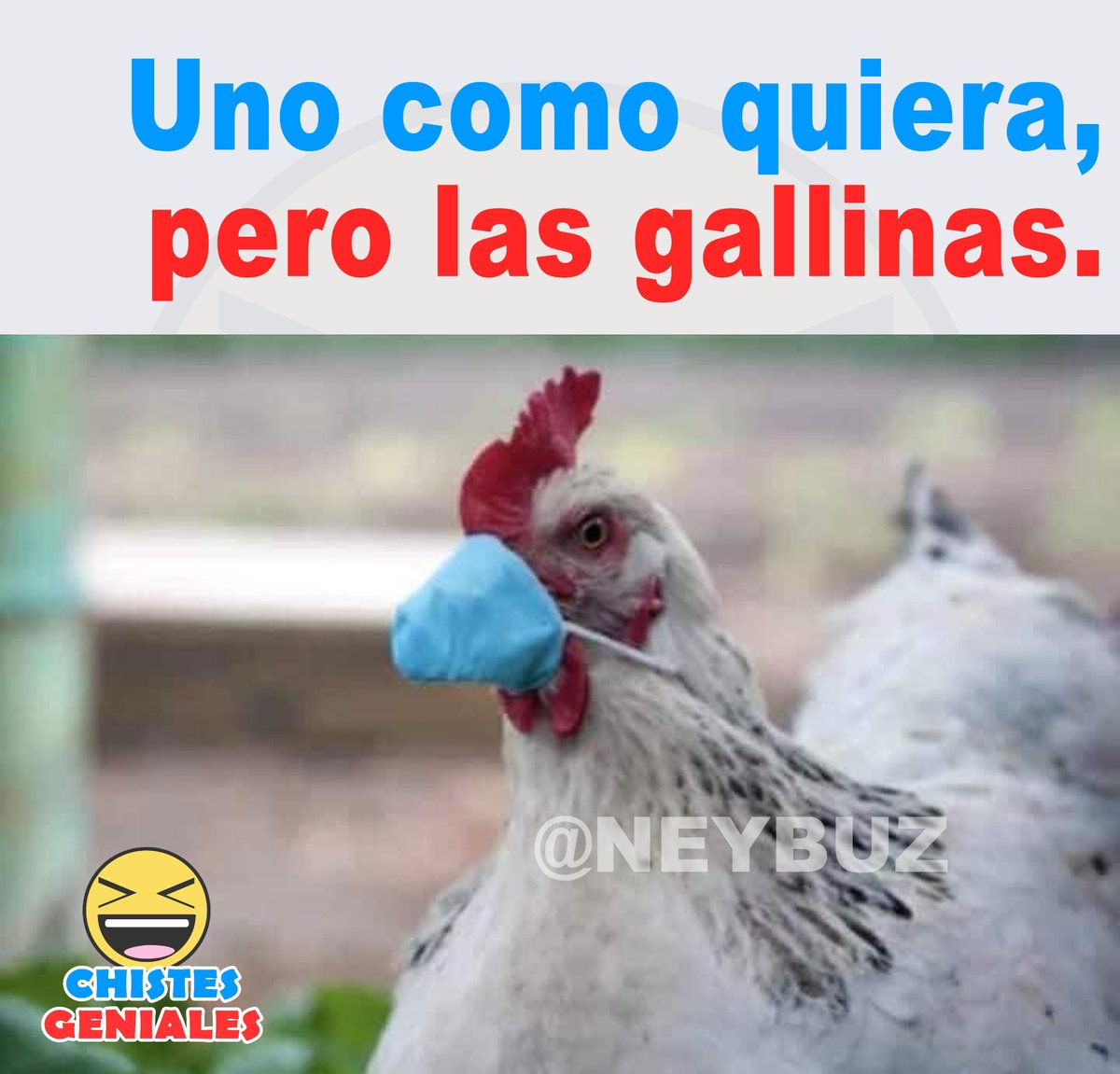 Nike con gallina, image size:1200x1151