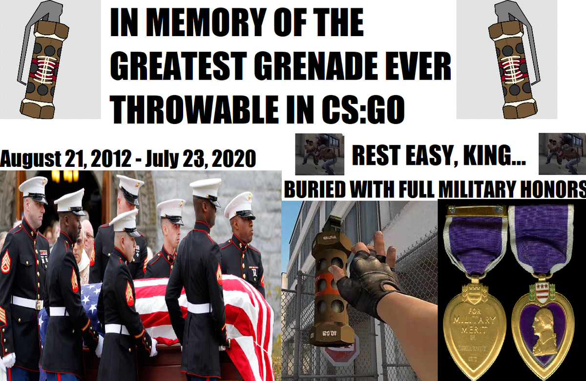 noob dog (@noobdoggy) on Twitter photo 