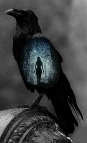 laurieannforest's tweet photo. #amwriting #thedemontide #Vogel #Elloren ๐ค๐๐๐ฒ๐ฅ (pinterest image inspiration) https://t.co/MsvmKPDg43