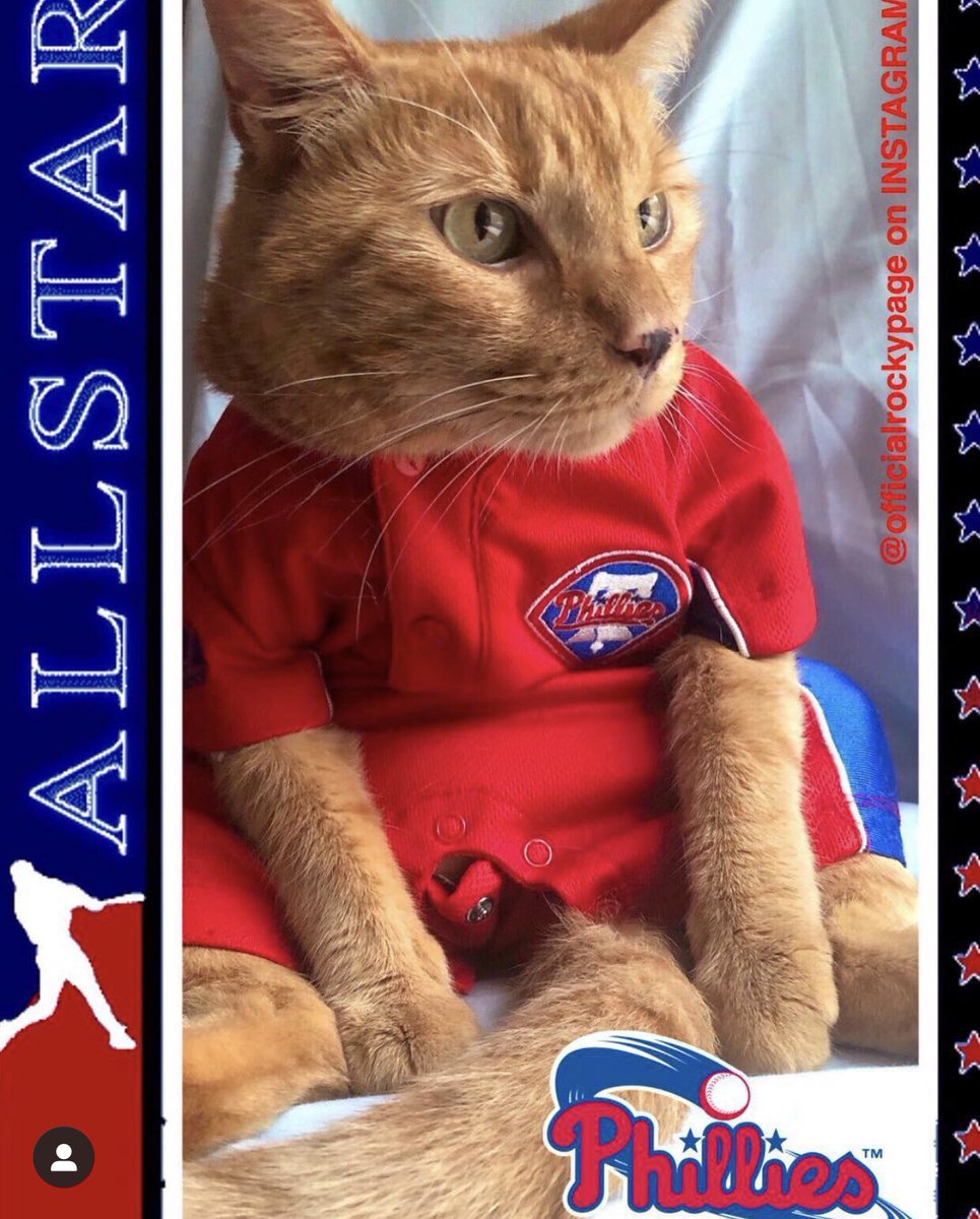 realrockycat's tweet photo. It’s Opening Day, furiends! Take meow out to the ball game!⚾️ Love, Rocky 💙❤️ #OpeningDay #Phillies #philadelphiaphillies #Philly #philadelphia #MLB #photography #photo https://t.co/KWeXcx6ZyT
