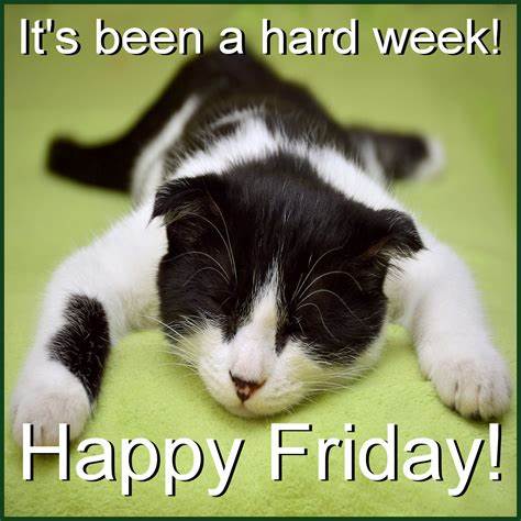 Hope you get some rest this weekend.

Happy Friday!

#TGIF #CatsOfTwitter