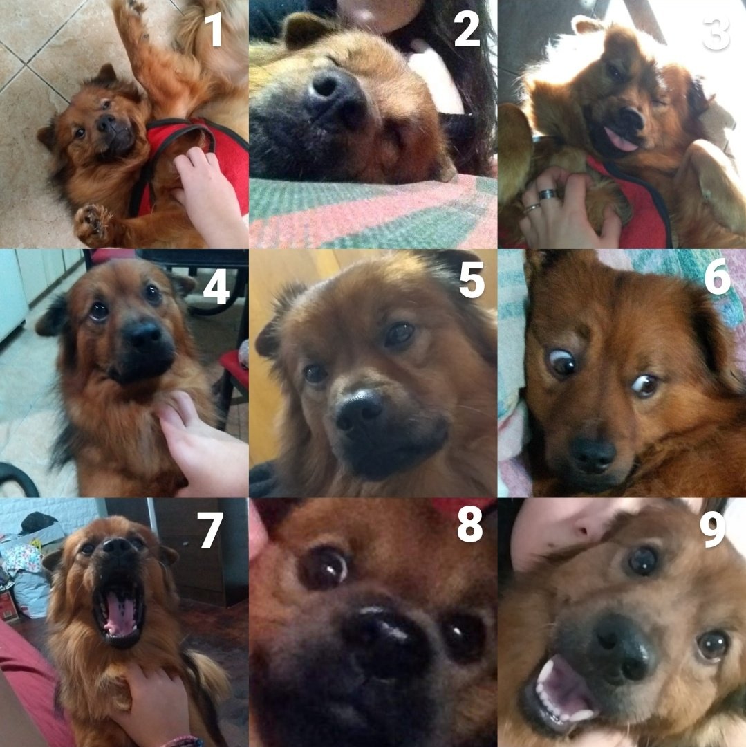 Elige tu mood del día: