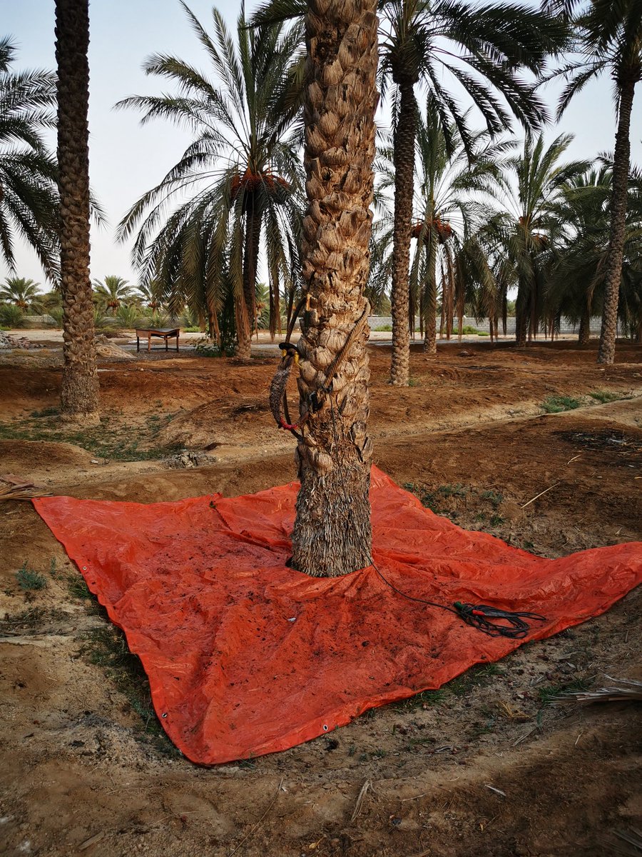 oman933155's tweet photo. #تصويري https://t.co/uFd0KVmord