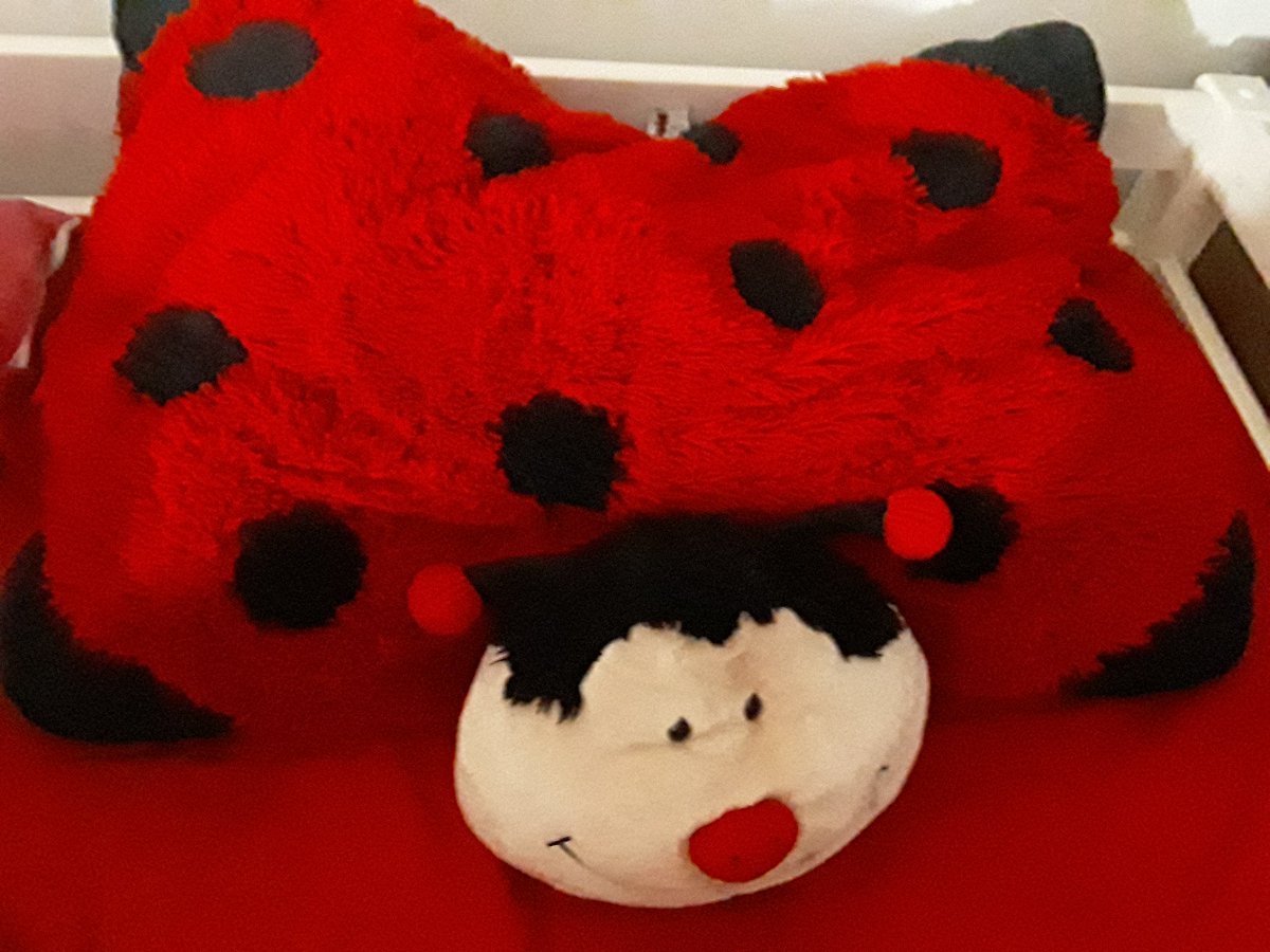 yaz  @natsumnevery smiley and comforting!!! big ladybug!!!!!!!!!!!!!!! aaaaaa!!!!!