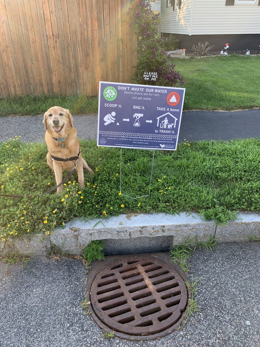 charpoulin's tweet photo. Thanks @CityPortland for the signs! Seeing too many 💩 bags left at the catch basins lately! #waterresources #stormwater #keepourwaterclean https://t.co/y4qkI0mkoJ