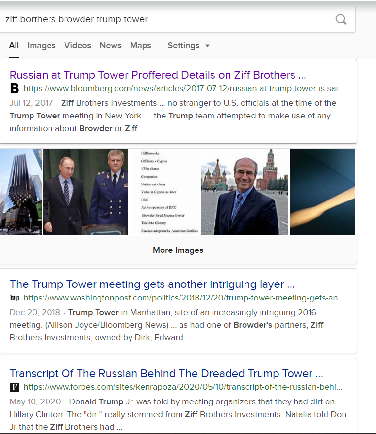 It's established that the Ziff Brothers Investments & Bill Browder were a major topic at the Trump Tower Meeting. An internet search will verify this, although very few stories cover. I was the first person to report on the Derek Shearer / Ziff connection.