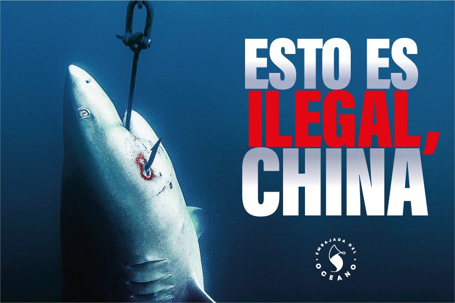 dallyanapass's tweet photo. Ecuador debe exigir la creación de nuevas regulaciones para evitar la depredación de la biodiversidad que habita en las Islas Galápagos y en todo el planeta. #RetrocedeChina #ActúaLenin https://t.co/eDkq4V7gv4