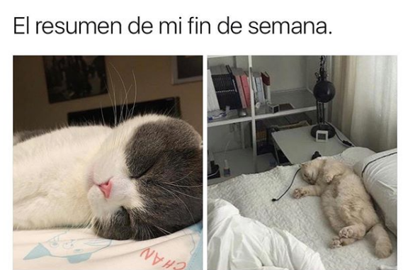 UltraPOD tweet media