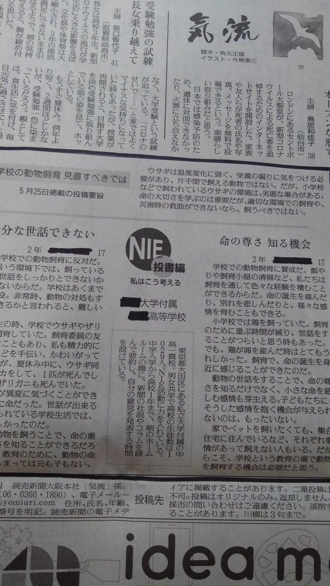 学校うさぎ Schoolrabbits Twitter