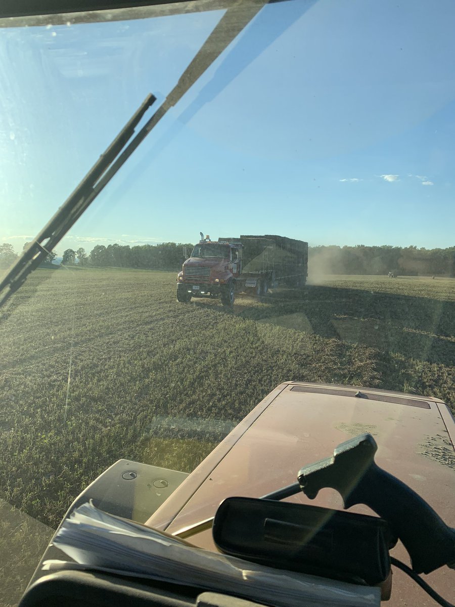 ihboy86's tweet photo. No dates tonight gang #hay20 pushes on ! #teamdfi #ontag #redclover https://t.co/mNEV8BOnUy