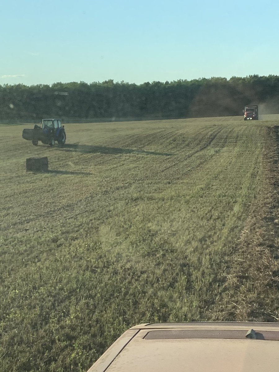 ihboy86's tweet photo. No dates tonight gang #hay20 pushes on ! #teamdfi #ontag #redclover https://t.co/mNEV8BOnUy