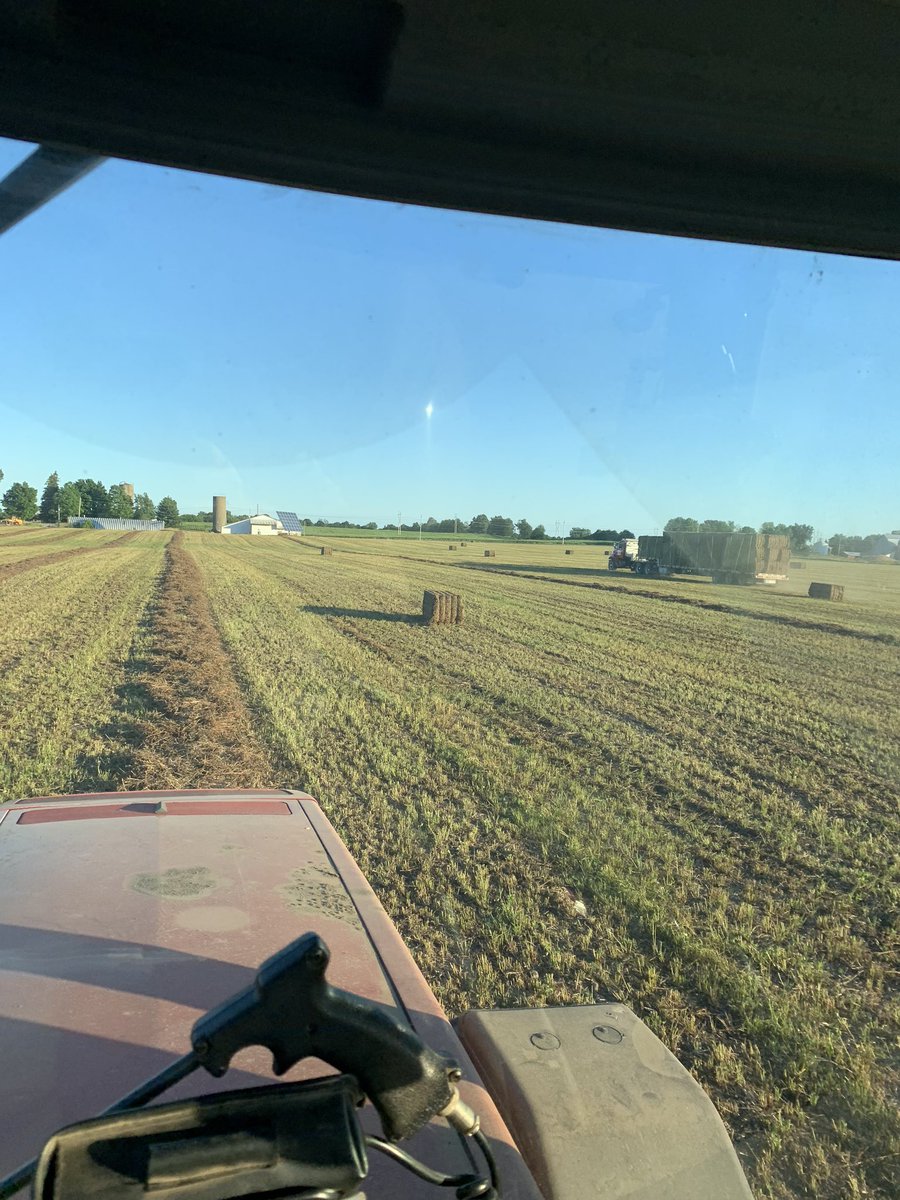 ihboy86's tweet photo. No dates tonight gang #hay20 pushes on ! #teamdfi #ontag #redclover https://t.co/mNEV8BOnUy